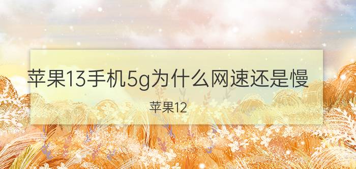 苹果13手机5g为什么网速还是慢 苹果12 5g网速慢怎么解决？